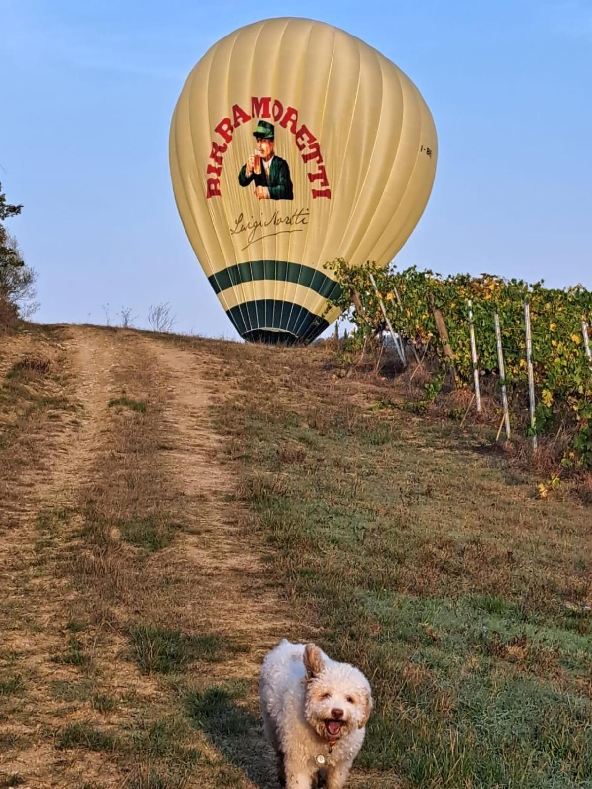 Podere Fichereto Tuscany Apartment In Florence Countryside Scandicci Bagian luar foto